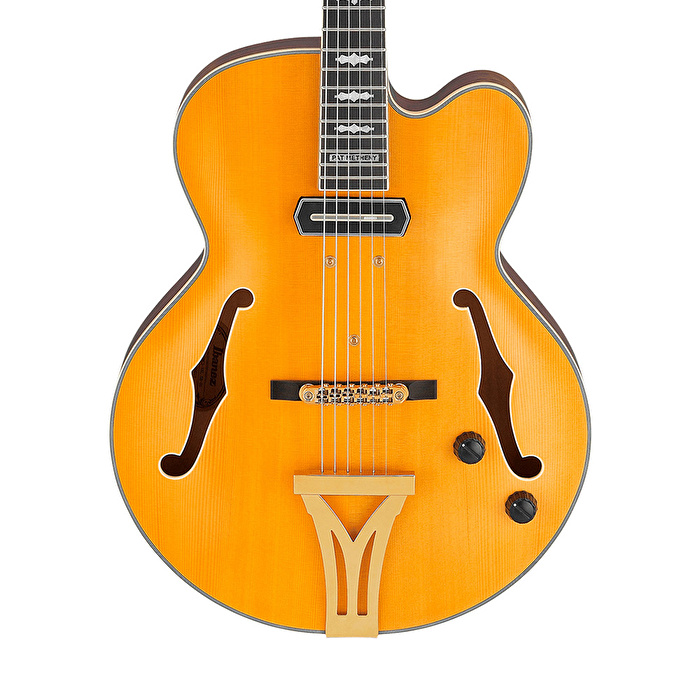 Ibanez PM3C-NAL Pat Metheny Signature Natürel Hollow Body Elektro Gitar